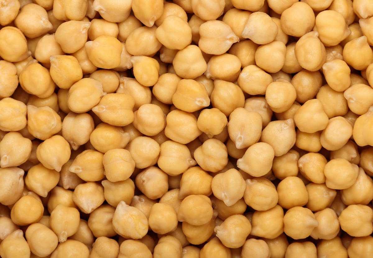 Cooked soaked chickpea legume beans