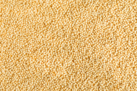 Organic Raw Amaranth Grain in a Bowl to Cook